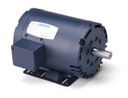 110255.00, AC Three Phase Totally Enclosed Motors