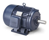 170199.60, AC Three Phase Totally Enclosed Motors
