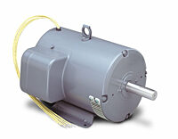 131847.00, AC Single Phase Agricultural Duty Motors