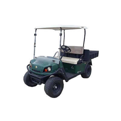 Electric Golf Cart