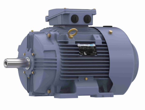 TCA18P1AP211GAA009 25 Hp Marathon Metric Motor